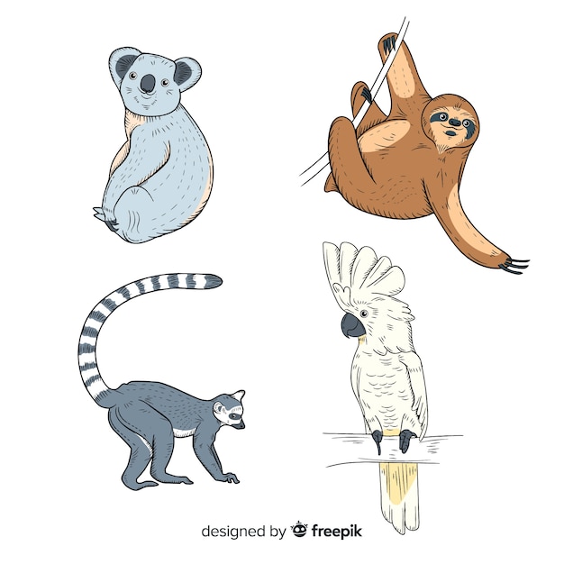 Vector gratuito colección de animales tropicales dibujados a mano