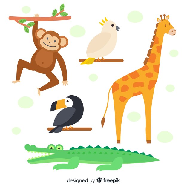 Colección de animales tropicales en diseño plano