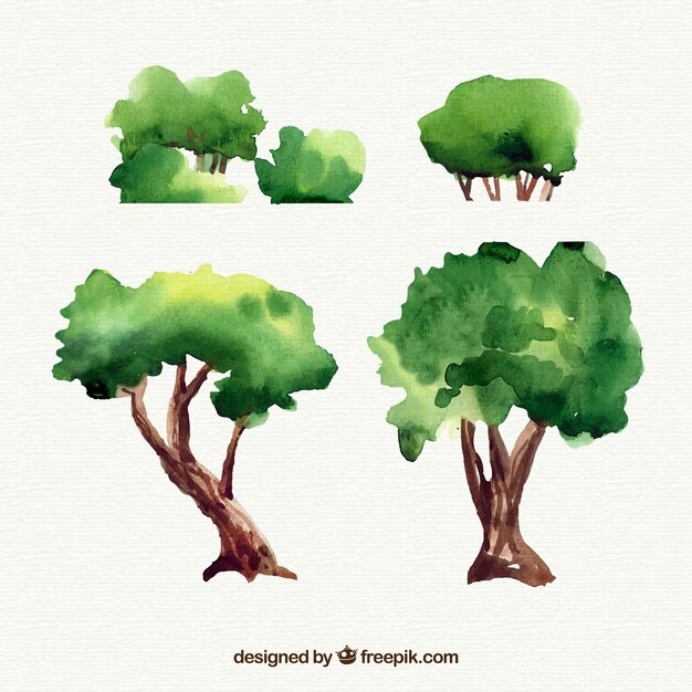 Colección de arboles de acuarela