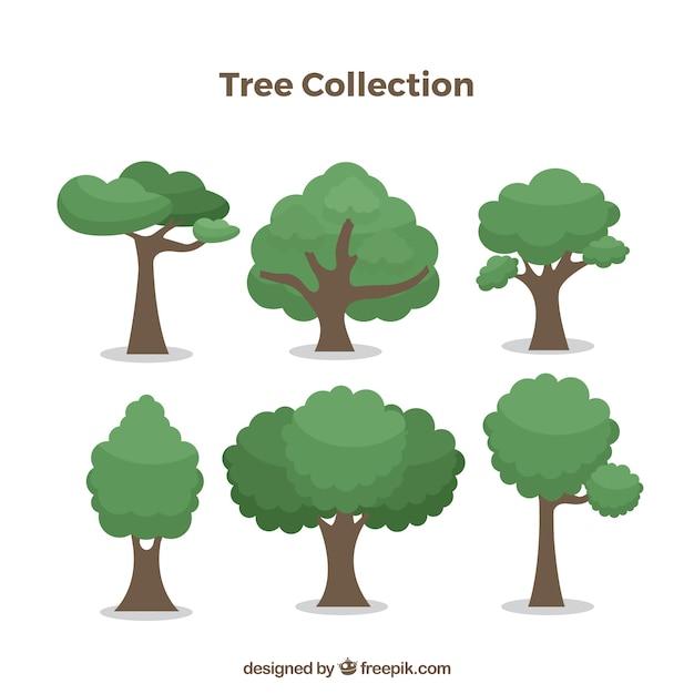 Colección de árboles con especies diferentes