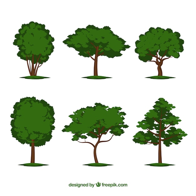 Colección de árboles en estilo 2d