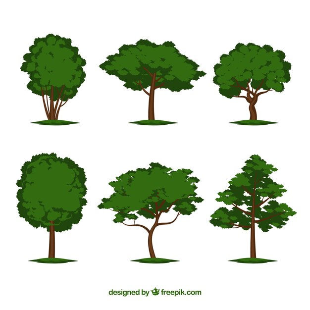 Colección de árboles en estilo 2d