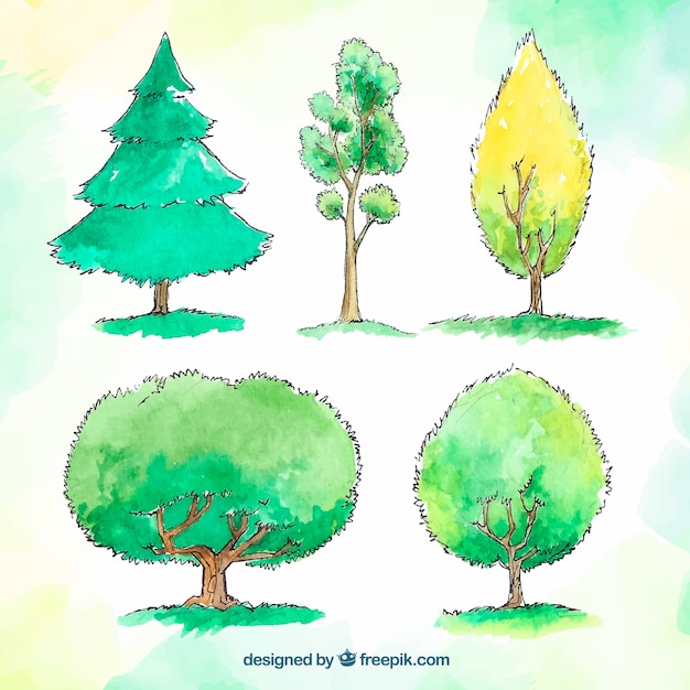 Vector gratuito colección de árboles en estilo acuarela