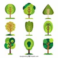 Vector gratuito colección de árboles en estilo plano
