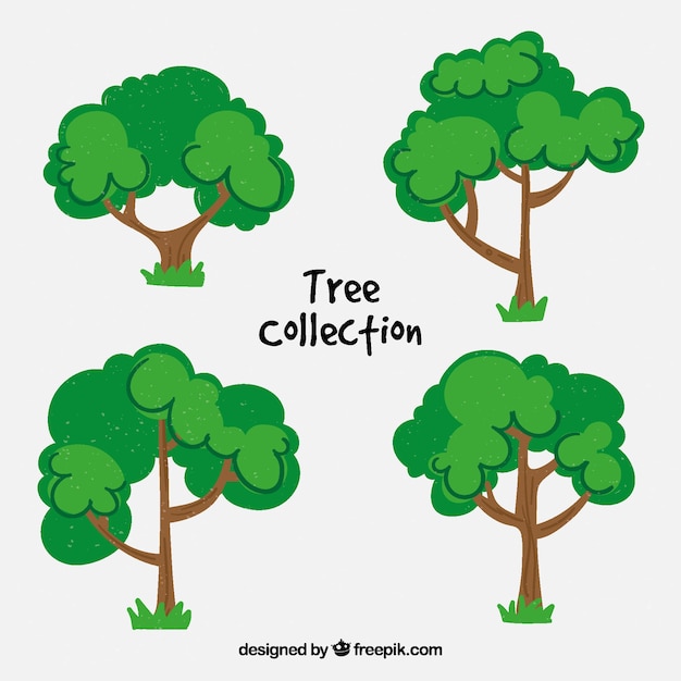 Colección de árboles en estilo realista
