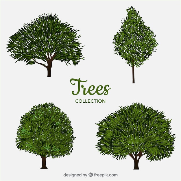 Colección de árboles con estilo realista