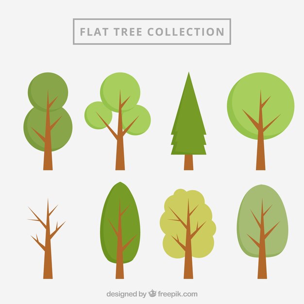 Colección de árboles flat