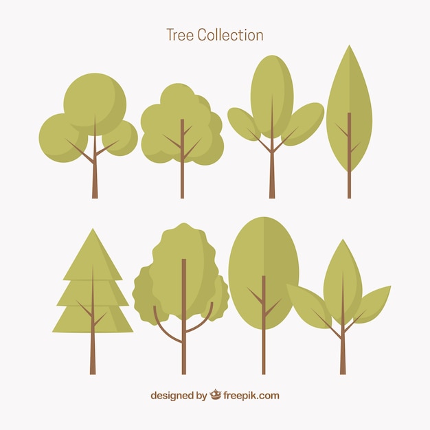 Colección de árboles con formas geométricas 
