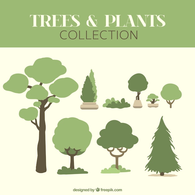 Colección de árboles y plantas decorativos
