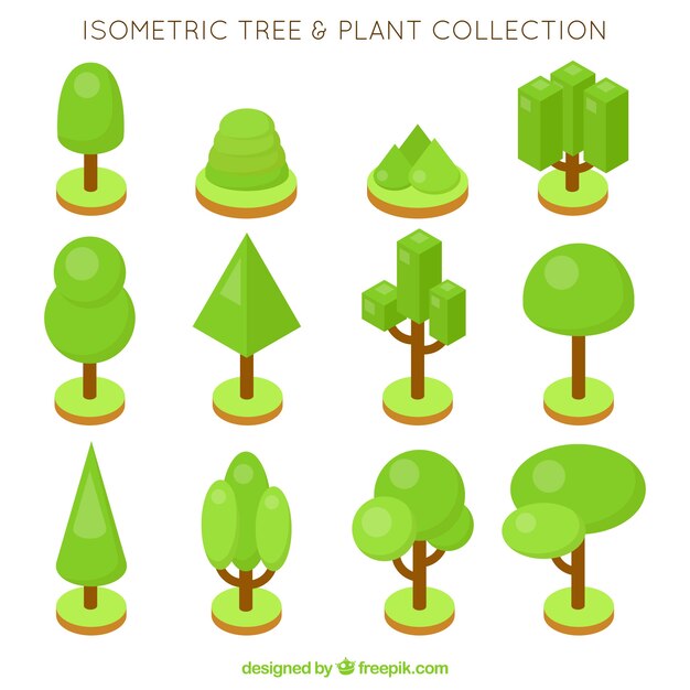 Colección de árboles y plantas en estilo isométrico