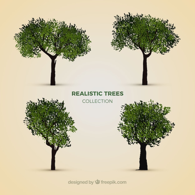 Colección de árboles realistas