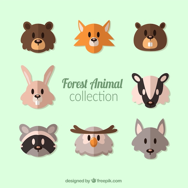 Vector gratuito colección de avatares de animales del bosque en diseño plano