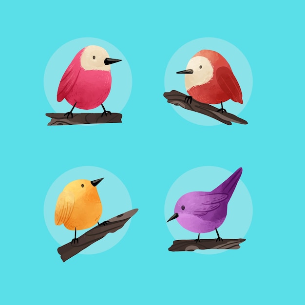 Vector gratuito colección de aves acuarela