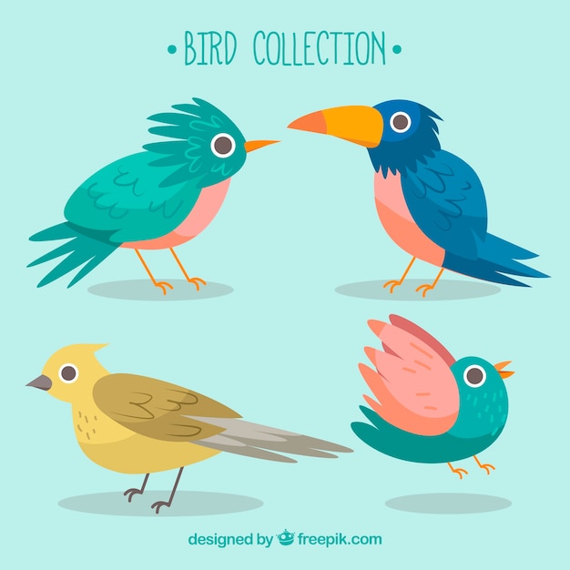 Colección de aves dibujadas a mano