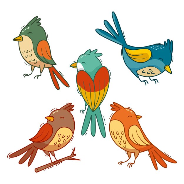 Colección de aves dibujadas