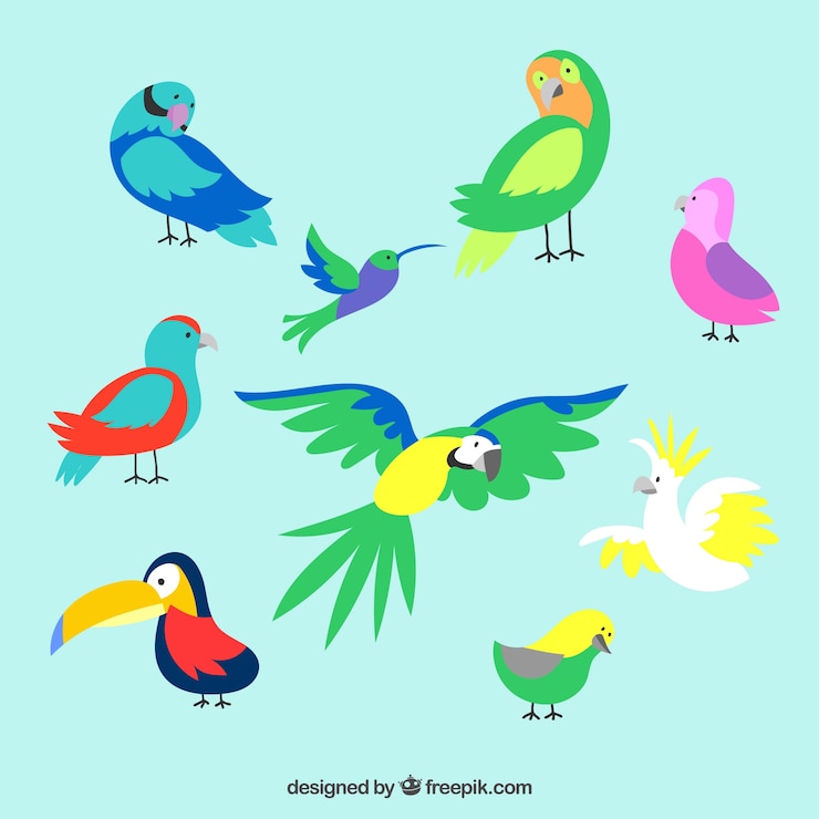 Vector gratuito colección de aves exóticas dibujadas a mano
