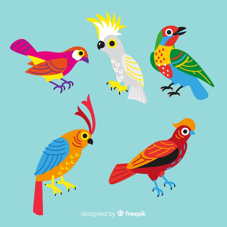 Vector gratuito colección de aves exóticas dibujadas a mano