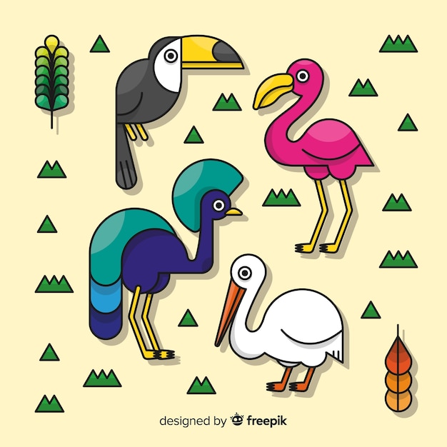 Vector gratuito colección de aves exóticas dibujadas a mano.