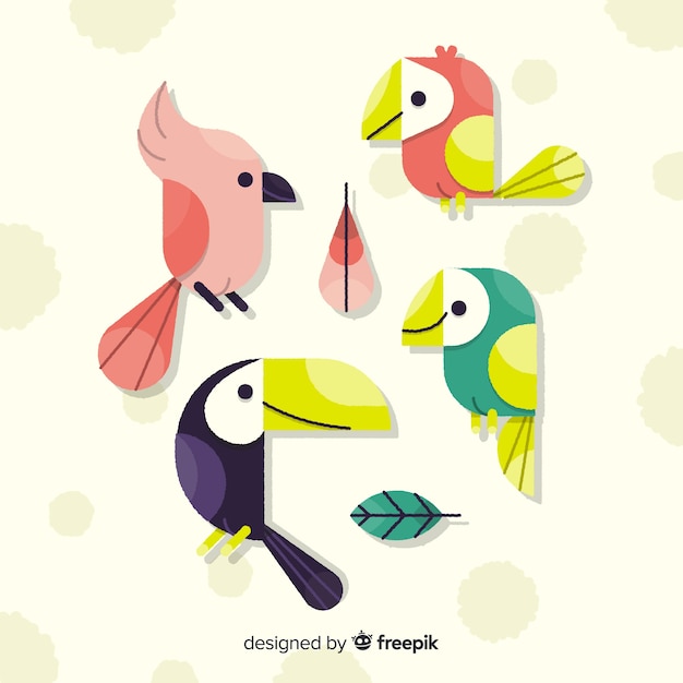 Colección de aves exóticas dibujadas a mano.