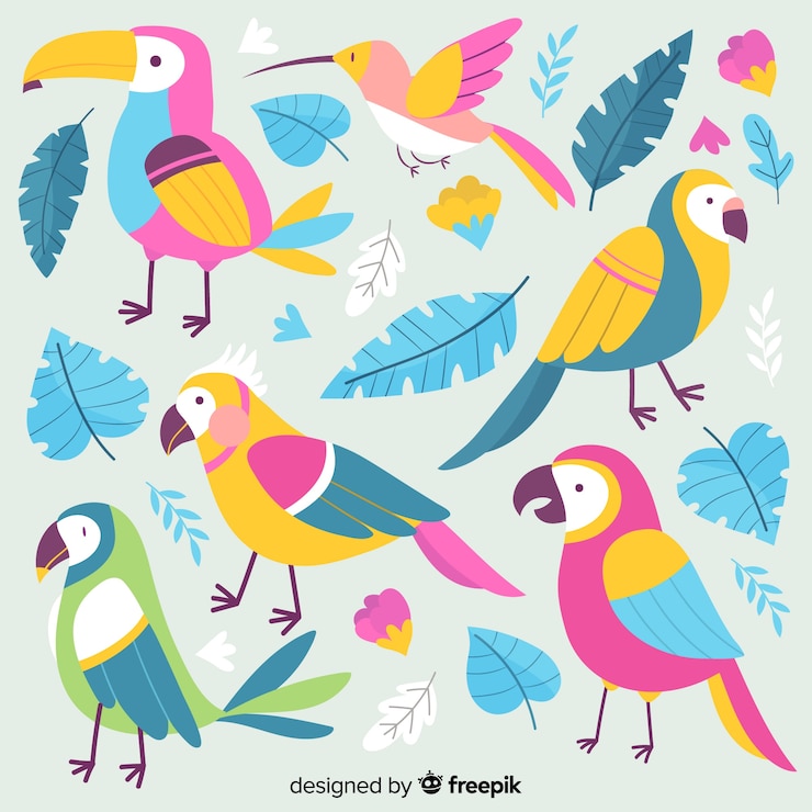 Vector gratuito colección de aves exóticas dibujadas a mano