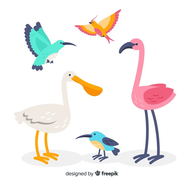 Colección de aves exóticas planas.