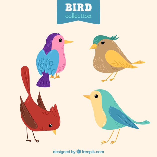 Colección de aves planas
