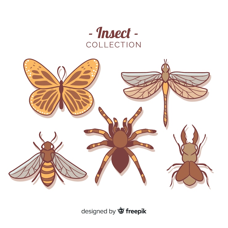 Vector gratuito colección bichos coloridos dibujados a mano