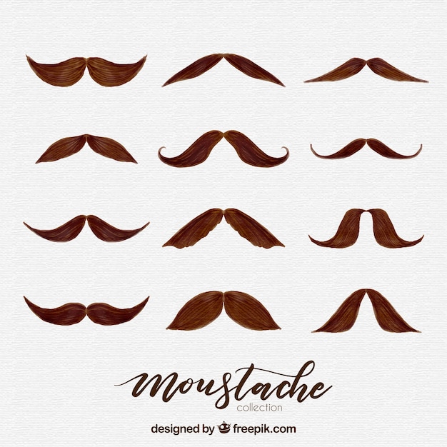 Colección de bigotes de acuarela marrón