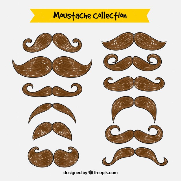 Colección de bigotes en acuarela