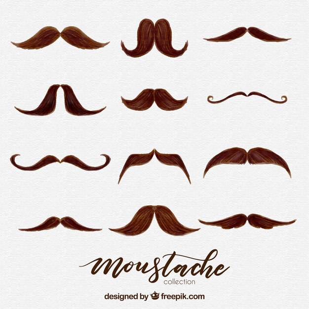 Colección de bigotes de acuarela