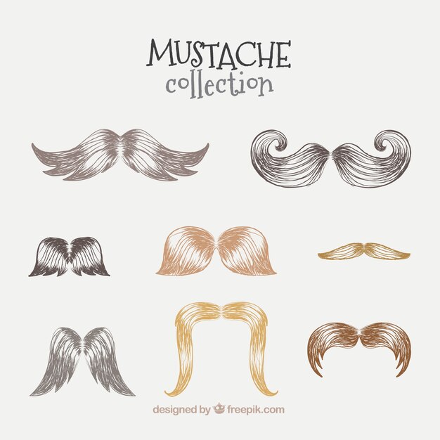 Colección de bigotes dibujados a mano para la celebración de movember 