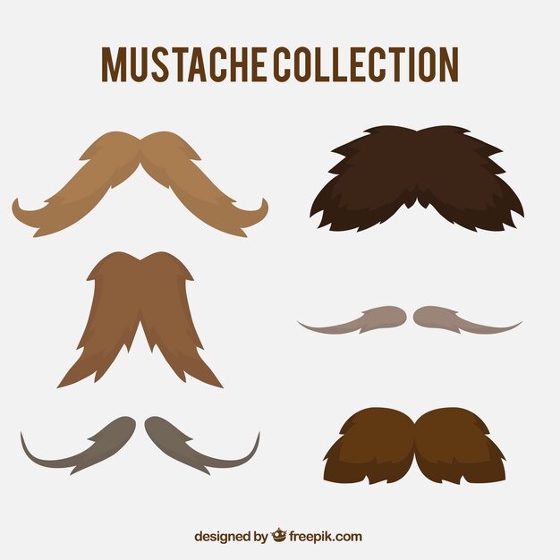 Colección de bigotes con diferentes estilos