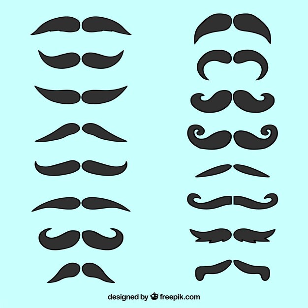 Colección de bigotes elegantes