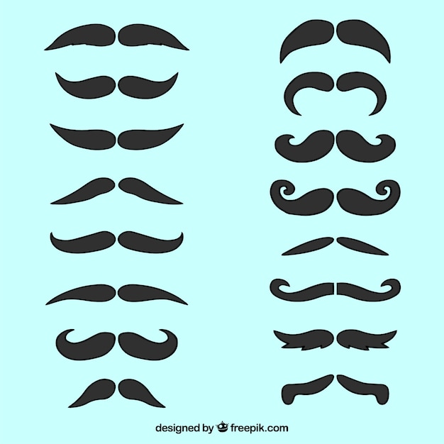 Colección de bigotes elegantes