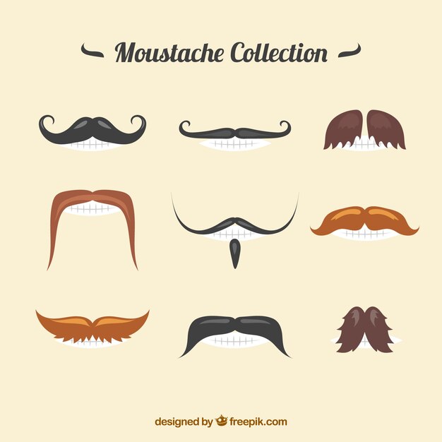 Colección de bigotes especiales