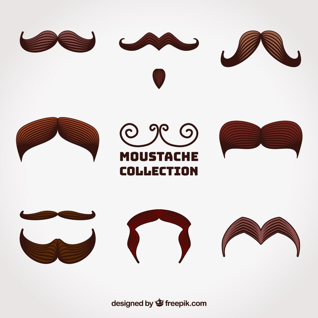Colección de bigotes para movember