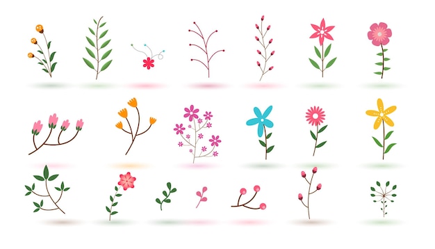 Colección bioinspirada de elementos de flora lindos con fondo blanco