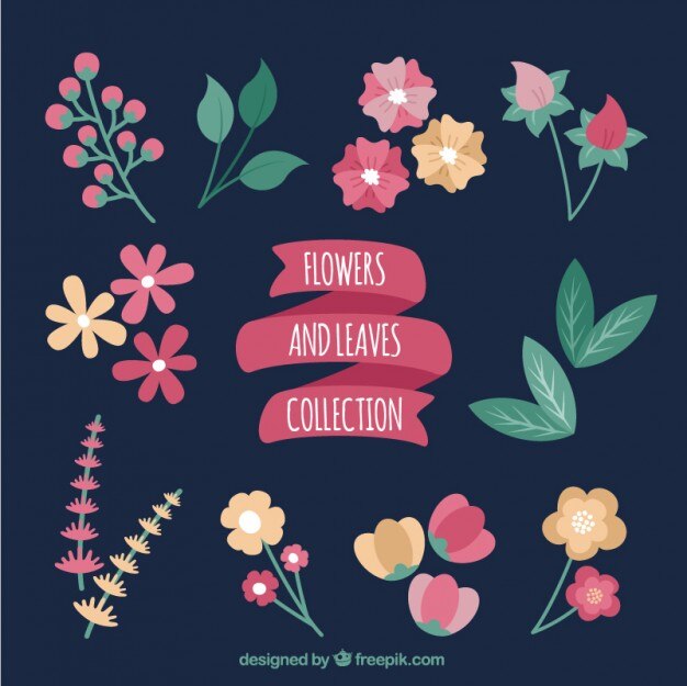 Colección de bocetos de flores y hojas