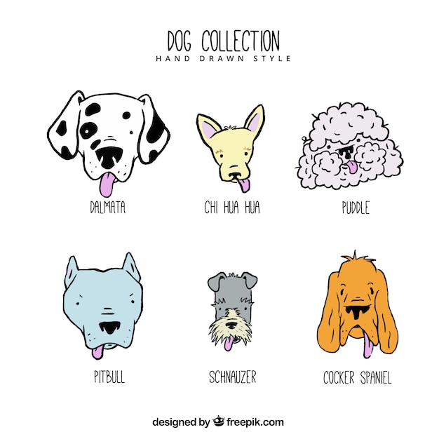 Colección bonita de perros dibujados a mano