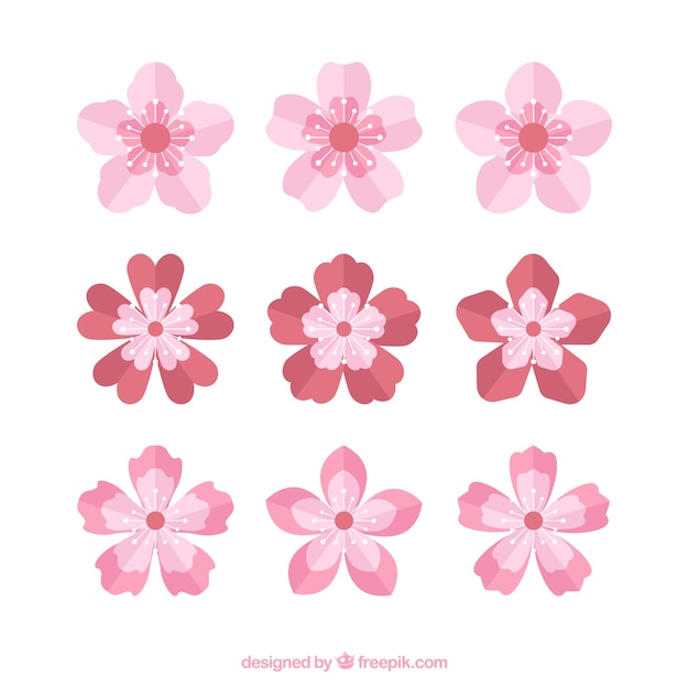 Vector gratuito colección de bonitas flores de cerezo en diseño plano