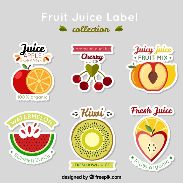 Colección de bonitas pegatinas de frutas 