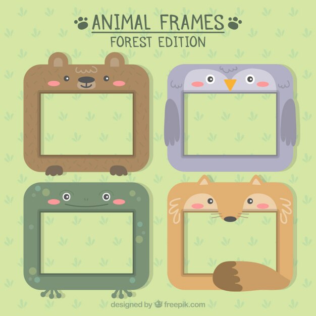 Colección de bonitos marcos animales