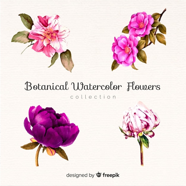 Colección botánica de flores y hojas