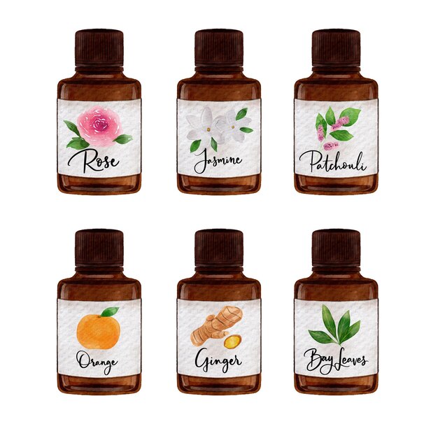 Colección de botellas de aceite esencial de acuarela
