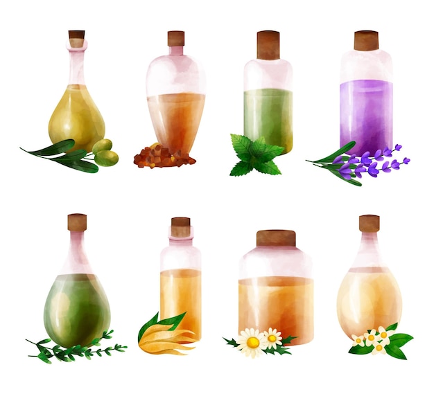 Colección de botellas de aceite esencial de acuarela