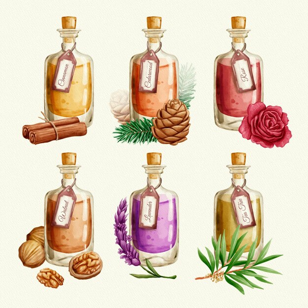 Colección de botellas de aceite esencial de acuarela
