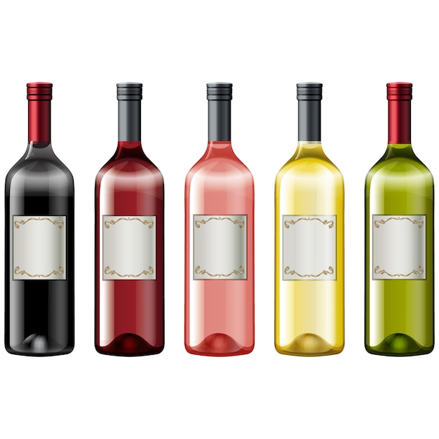 Vector gratuito colección de botellas de vino