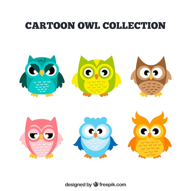 Colección de búhos de dibujos animados en diferentes colores