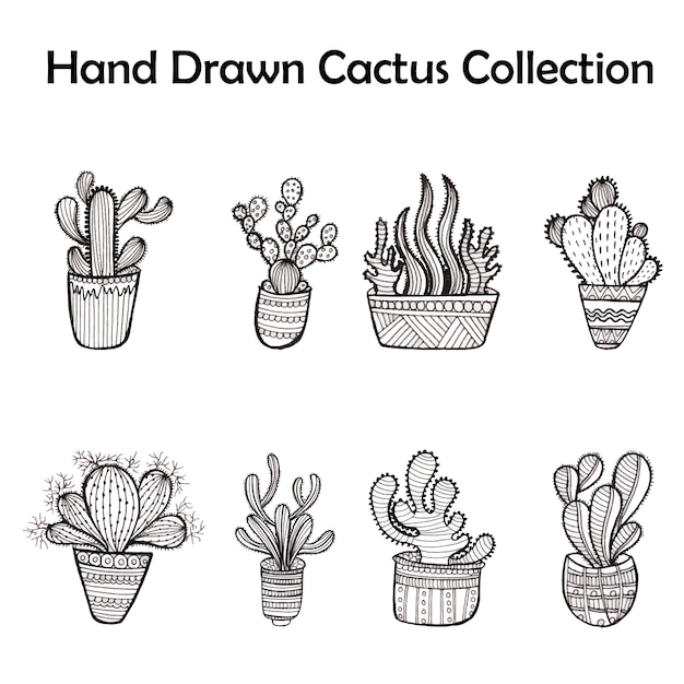 Vector gratuito colección de cactus en blanco y negro