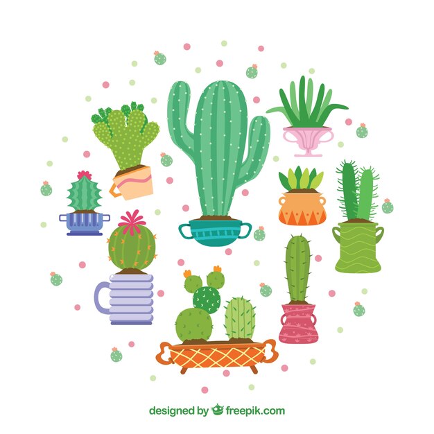 Colección de cactus bonitos